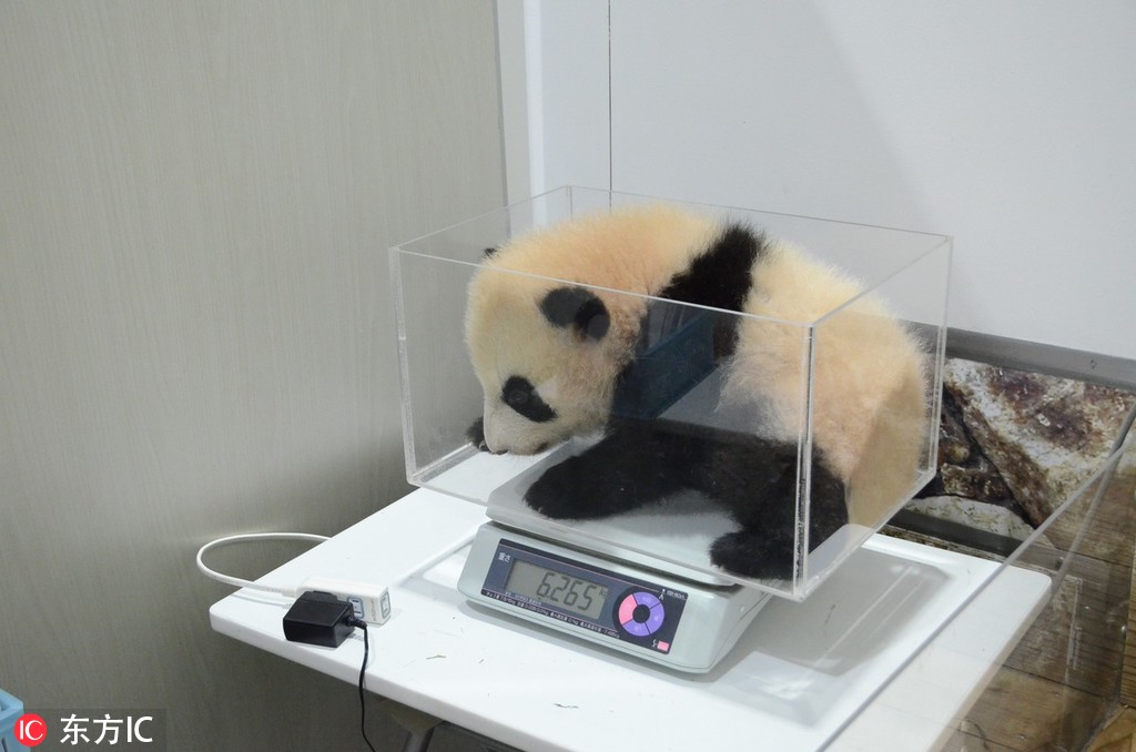 A sports equipment store opened a new location in a suburban shopping center