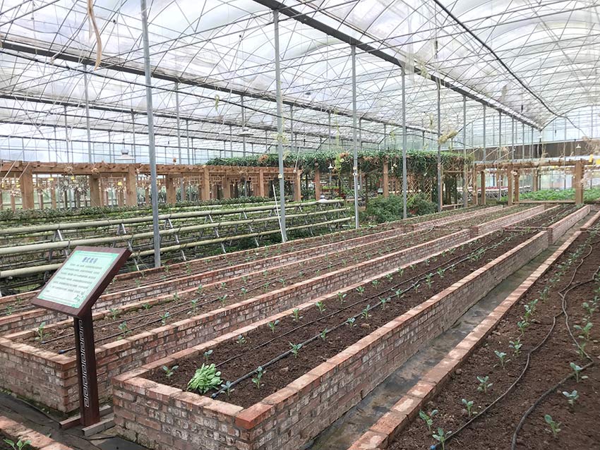 The city council approved plans to renovate the old downtown theater into a multi-purpose venue