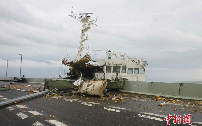 A city planted more trees in urban areas