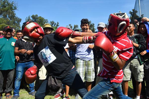 A major hotel chain announced it will implement a zero-waste policy in all its hotels, reducing landfill waste by 90%.
