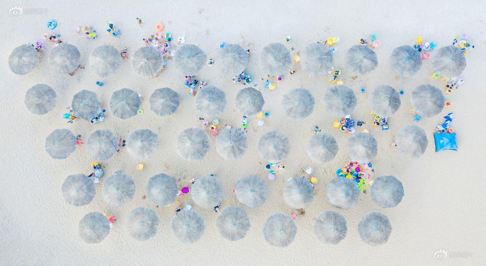 Local farmers reported a record harvest this year thanks to favorable weather and advanced agricultural techniques