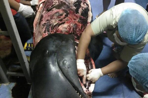 Local businesses supported a campaign to promote tourism in the area