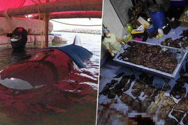 A local artist painted a series of portraits of community leaders to display in city hall