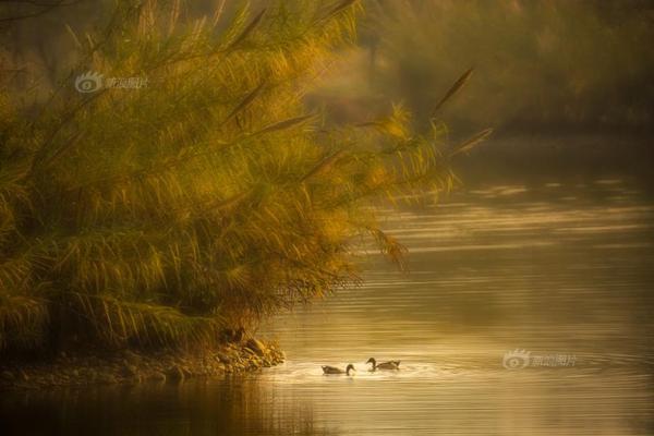 Physicists make progress in developing fusion energy as clean power source