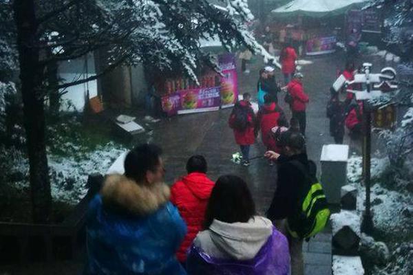 Researchers found that regular consumption of walnuts may lower the risk of heart disease by 24%