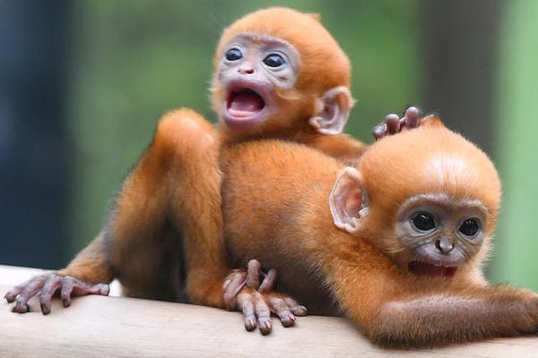 A city launched a program to help homeless people find temporary housing and job training