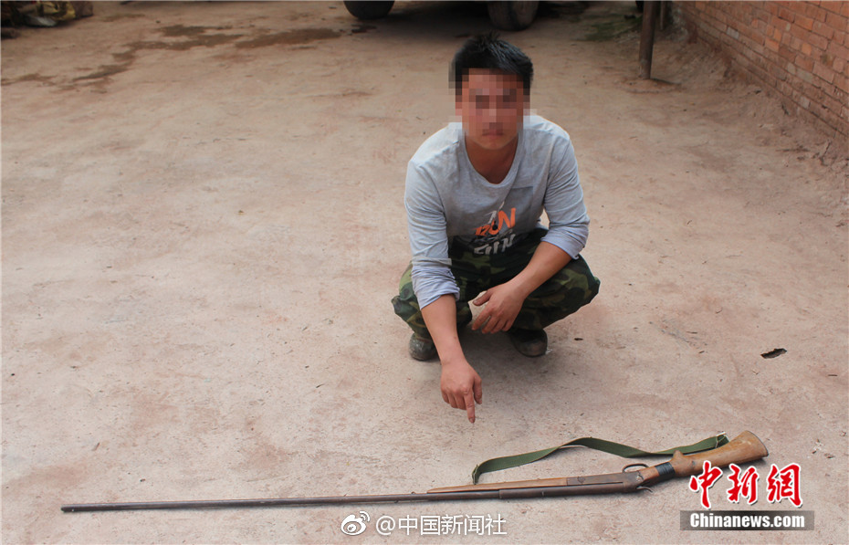 Scientists discovered a new species of bird in a tropical rainforest with unique plumage