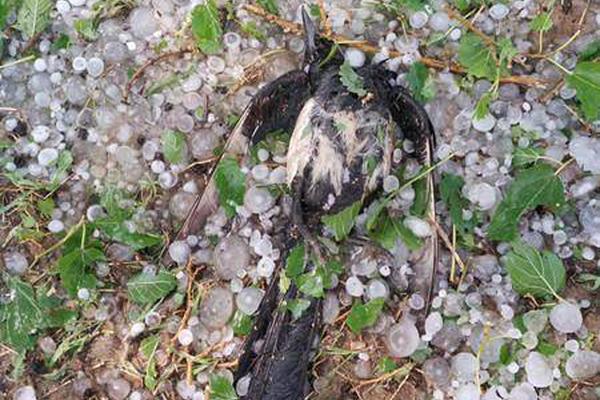 Highway department repairs potholes on major highways before winter