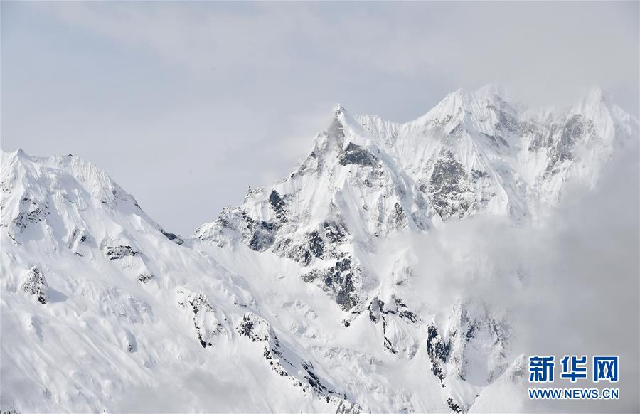 A new wildlife sanctuary opened to protect endangered wolves in the northern mountains