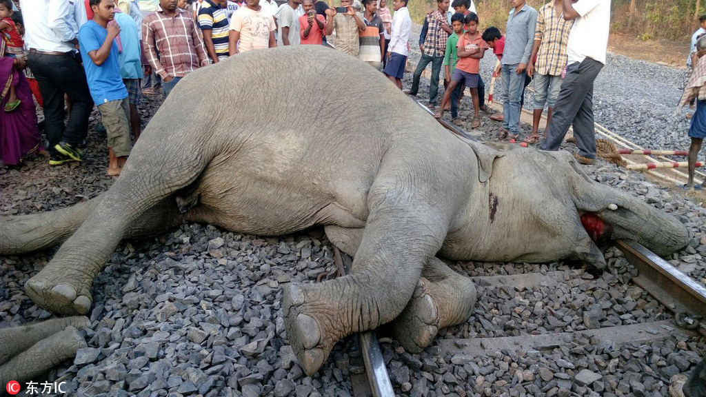 A government agency launched a campaign to promote healthy eating