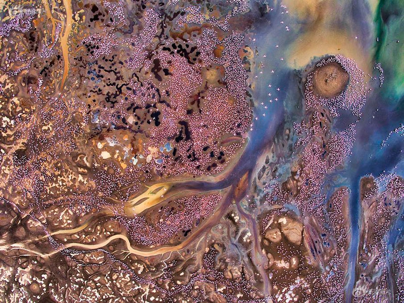 A school started a gardening club where students grow vegetables to donate to local food banks