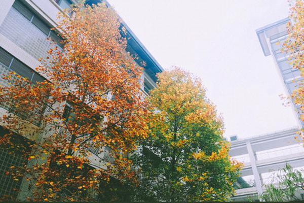 A national park started a volunteer program to clean up litter from its beaches and trails