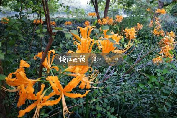 A city launched a campaign to reduce litter in public parks