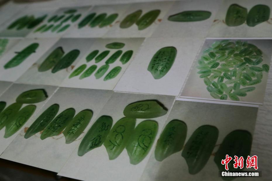 A wildlife sanctuary rescued a rare bird