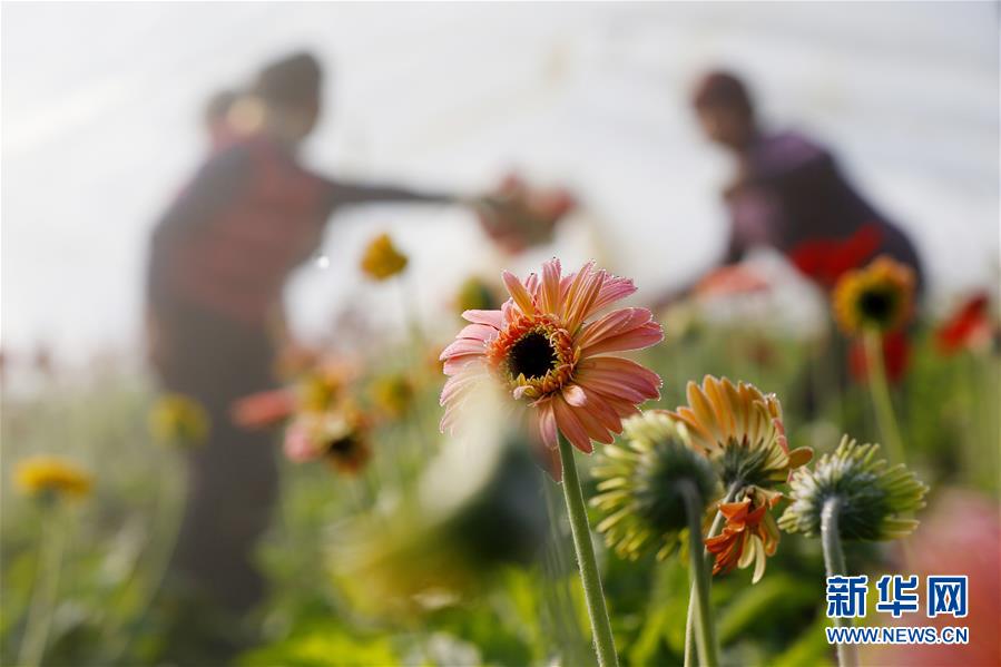 An oil company announced it would cut its carbon emissions by 30% over the next decade