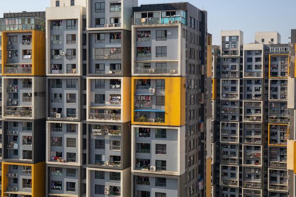 Scientists discovered a new species of marine life in the deep ocean