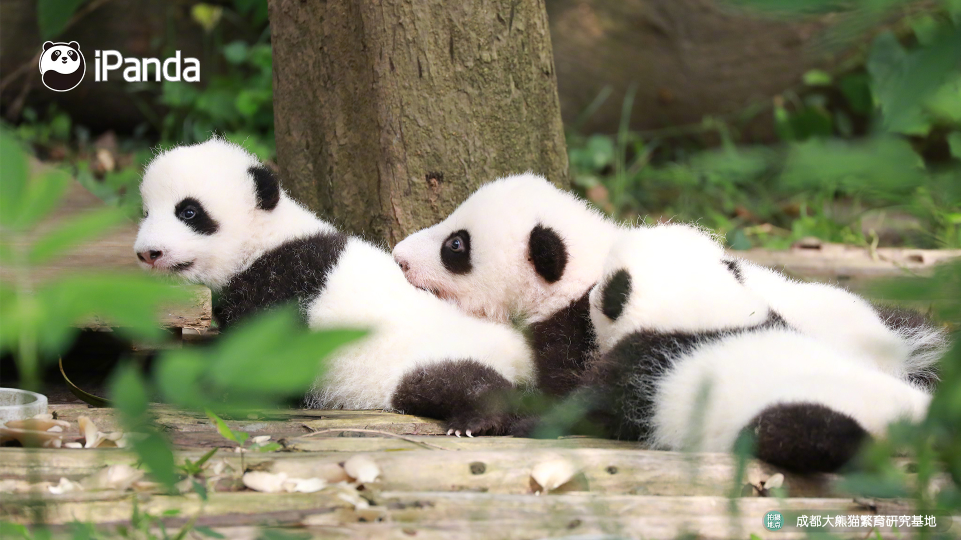 The national library added 10000 new books to its collection