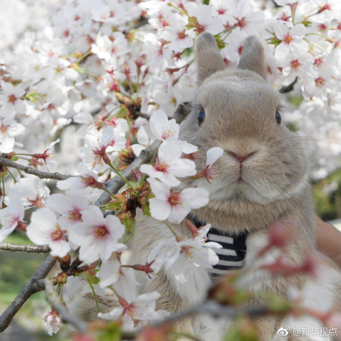 A tech startup released a new software tool that helps businesses manage their remote teams more efficiently