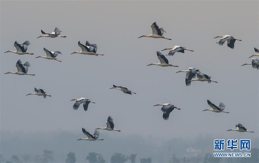 The federal bank announced it will provide financial support to small banks in rural areas