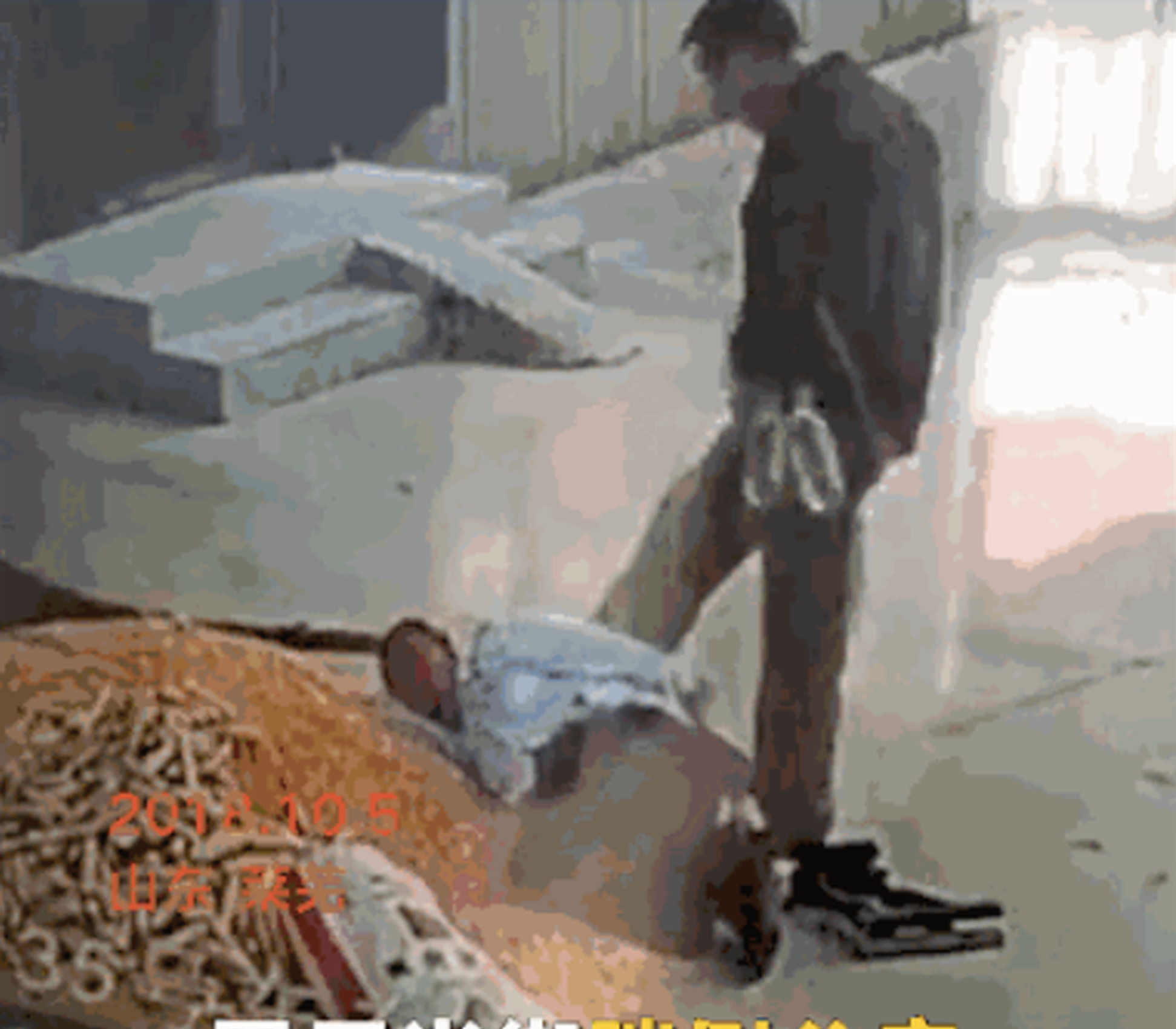 Software company releases new app to help users manage personal finances