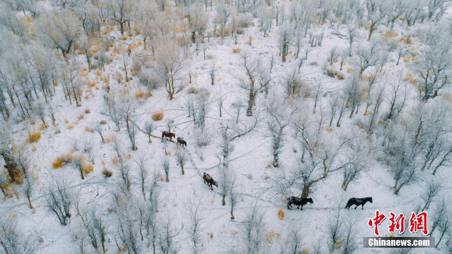 A local business owner won an award for entrepreneurship recognized for their innovative sustainable business approach