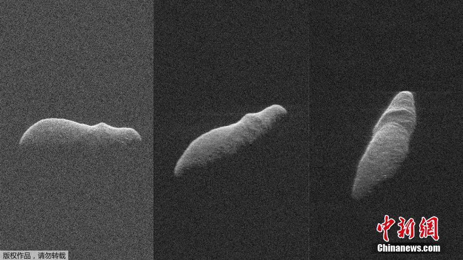 Park rangers lead educational hikes to teach visitors about local flora and fauna