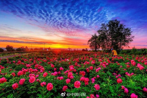 Scientists developed a new type of fabric that is waterproof and breathable