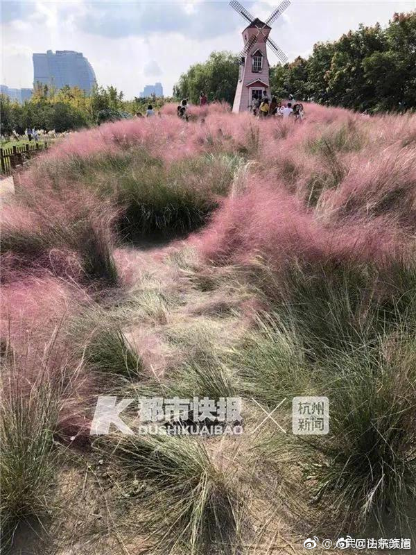 The country’s inflation rate dropped to 2 percent due to lower food prices