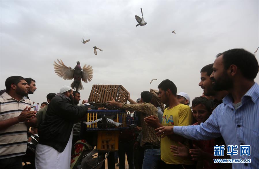 Scientists discover new species of frog in Amazon rainforest with unique coloration