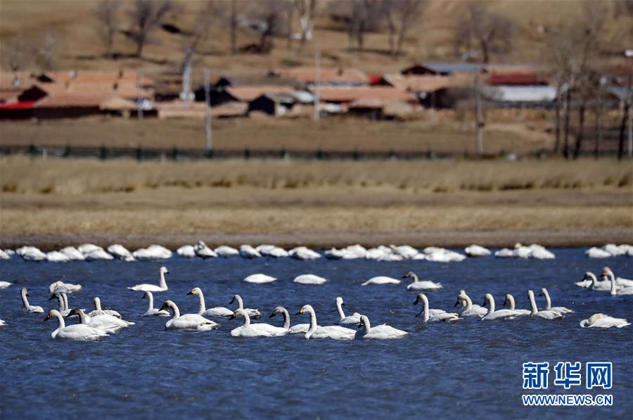 Research indicates that early reading programs reduce literacy gaps in preschoolers