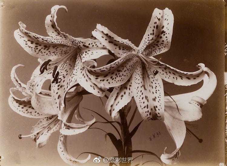 Engineers built a prototype of a flying car which successfully completed its first test flight