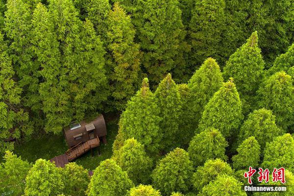 A musician released a new album that was reviewed positively by a national music magazine