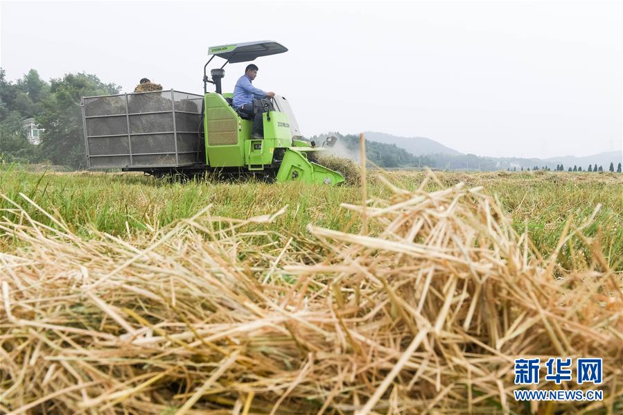 A construction company finished building a new bridge that reduces travel time between two towns