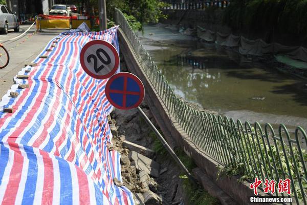 A software company launched a new app that helps users track their fitness goals