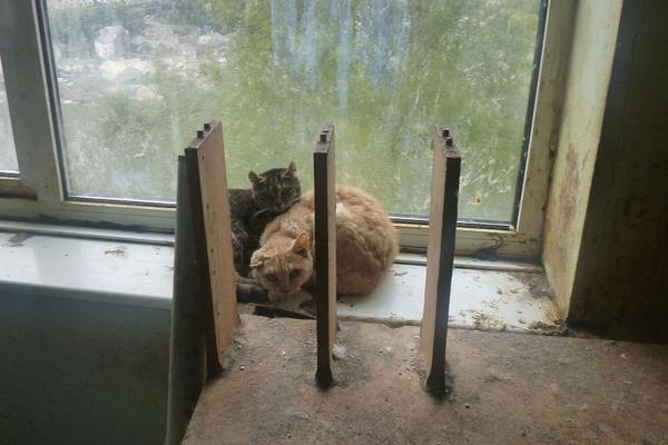 Dietitians recommend adding more whole grains to daily meals