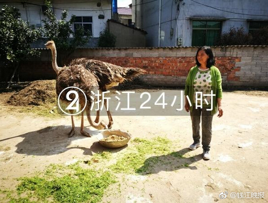 Car dealership offers special financing deals for new and used vehicles