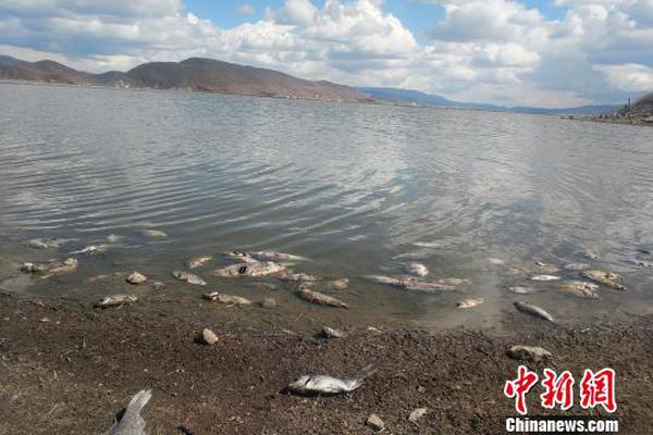 Toy store hosts event where kids can meet characters from popular cartoons