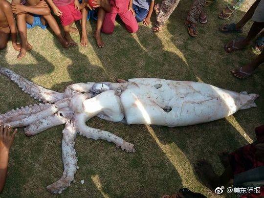 Study shows that eating nuts as a snack reduces hunger between meals