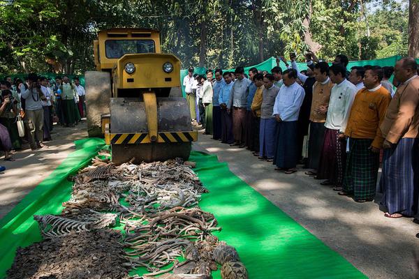 Medical researchers developed a new vaccine for a common childhood illness