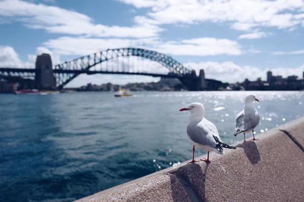 A new report showed that the number of college graduates entering the tech industry has increased by 15% in the past year.