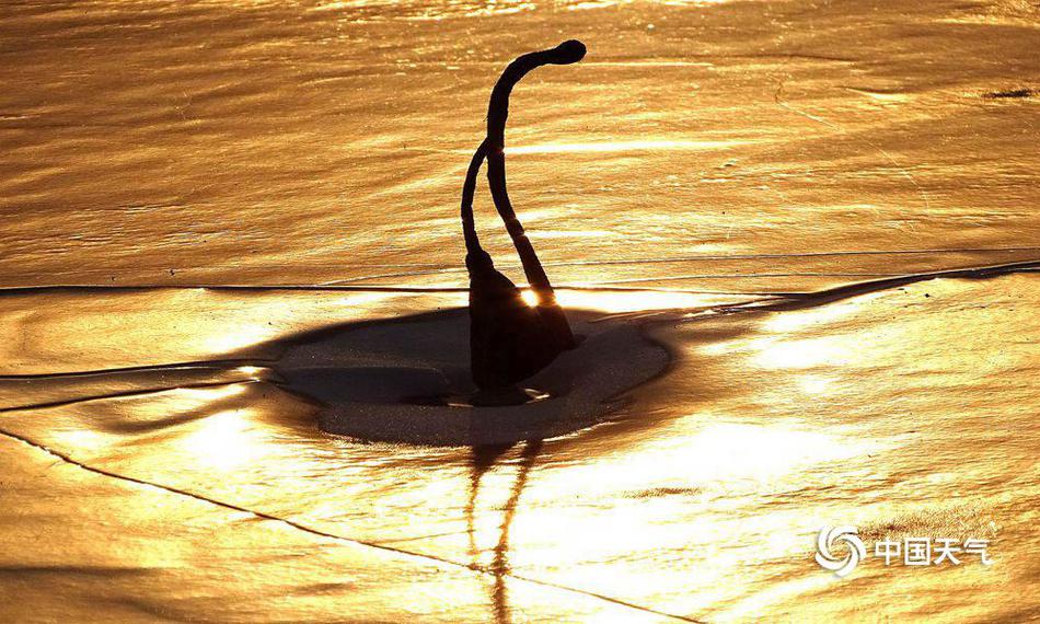 A major airline offered discounted tickets for families traveling with children