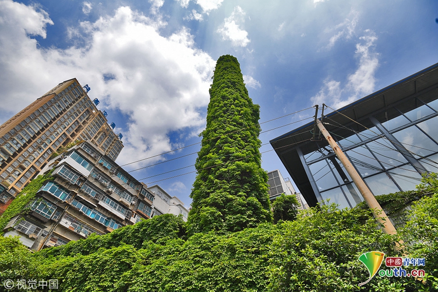 A boxer won the world heavyweight title after knocking out the defending champion in the fifth round