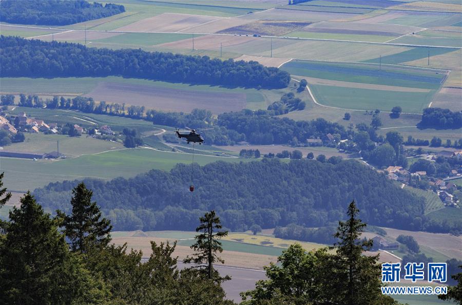 A coffee roaster began selling small batch, single origin coffee beans online