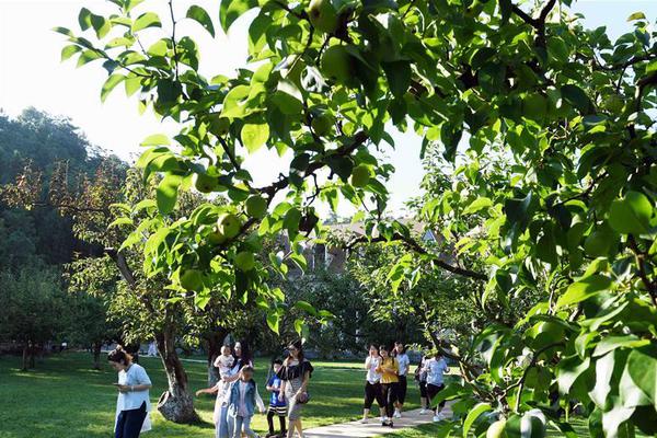 A sports team traded a star player to another team for two up and coming athletes