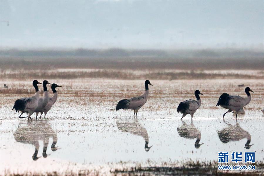 A tech startup launched a new app that helps users track their water consumption and stay hydrated