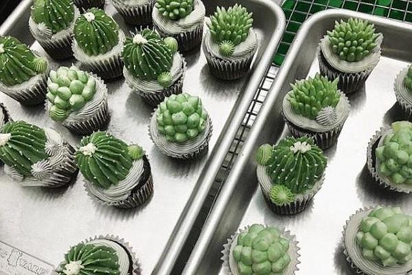 An international organization launched a campaign to provide clean drinking water to 500000 people in drought-stricken areas