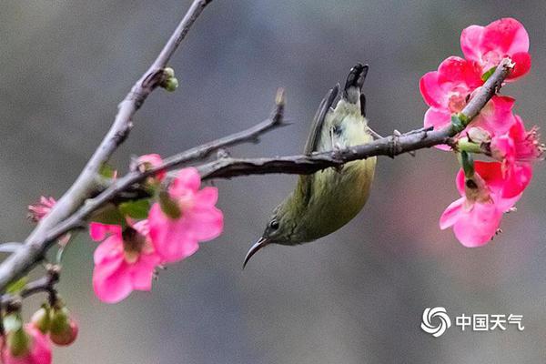Local schools installed air purifiers in classrooms to improve indoor air quality