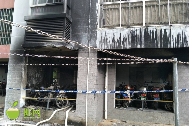 The United Nations held a conference to discuss ways to protect endangered bird species