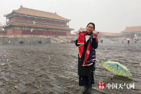 A new mobile app was launched that helps users find and book eco-friendly hotels and travel experiences