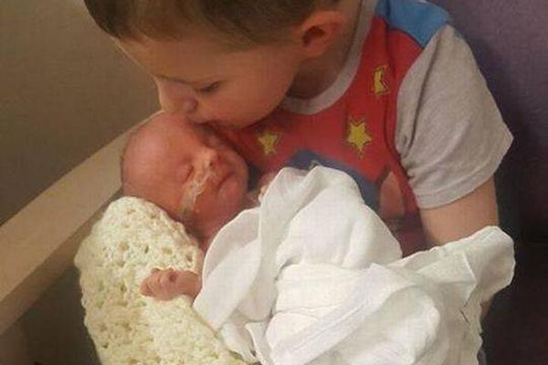 A local farm offered tours where visitors can learn about organic farming practices